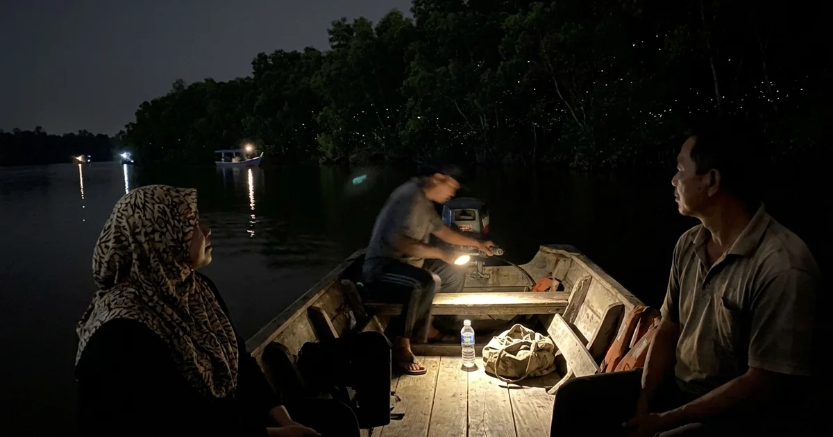 A dark new-moon night over the Selangor River with fireflies in the trees along the bank