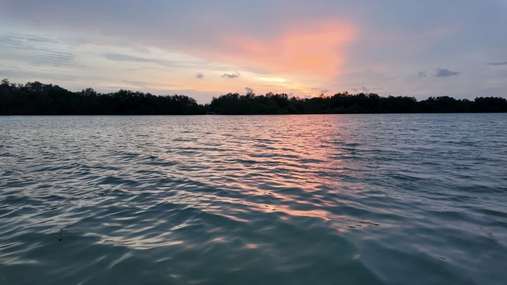 Sunset over the Selangor River and the mangrove treeline, the hour before the cruise